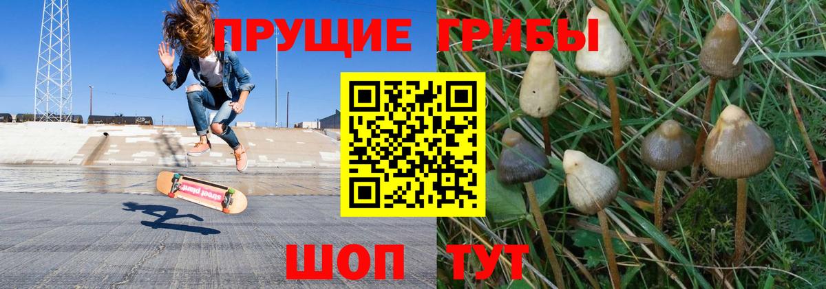 Галлюциногенные грибы мухоморы Рязань